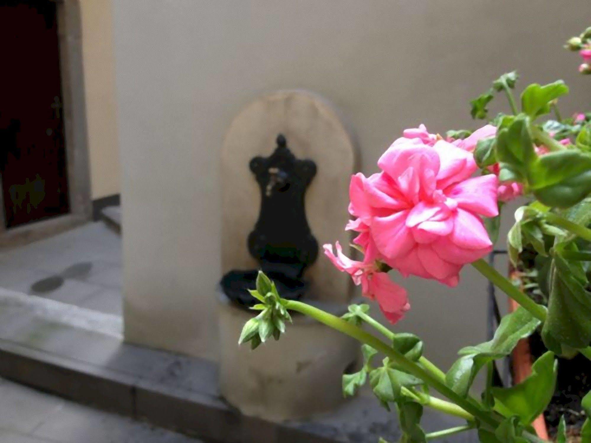 Dream House Apartment Bergamo Exterior photo